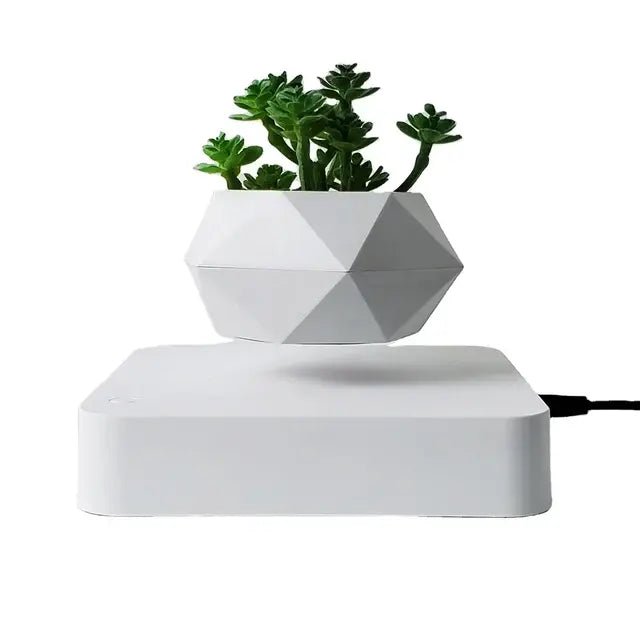 Potted Plant Home Desk Decor - EMBER-HOME