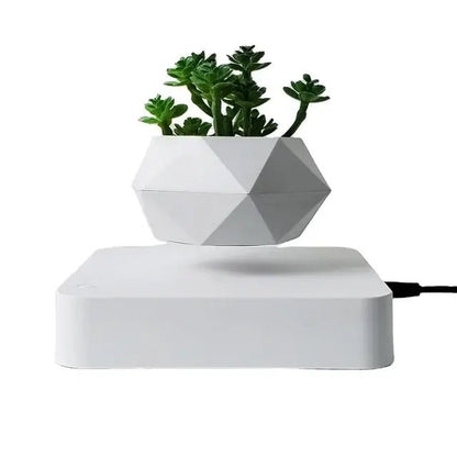 Potted Plant Home Desk Decor - EMBER-HOME
