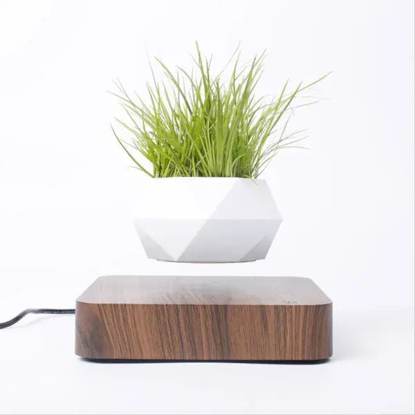 Potted Plant Home Desk Decor - EMBER-HOME