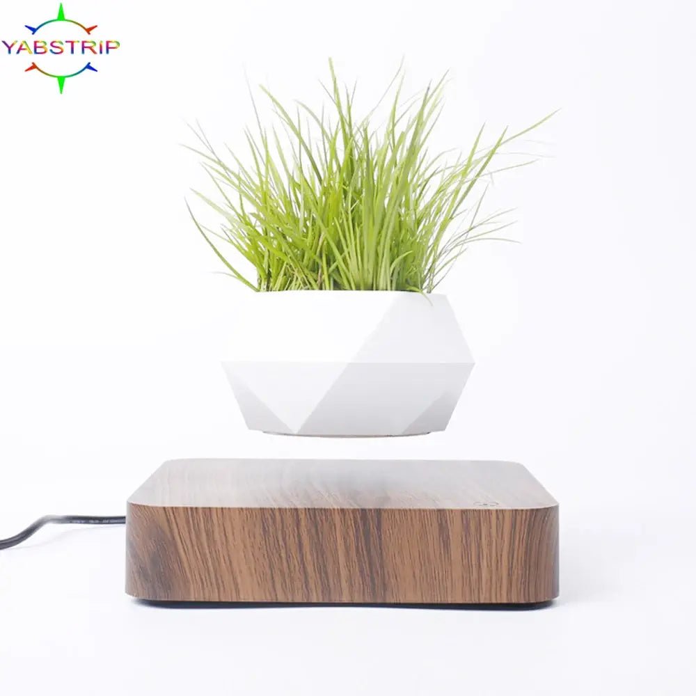 Potted Plant Home Desk Decor - EMBER-HOME