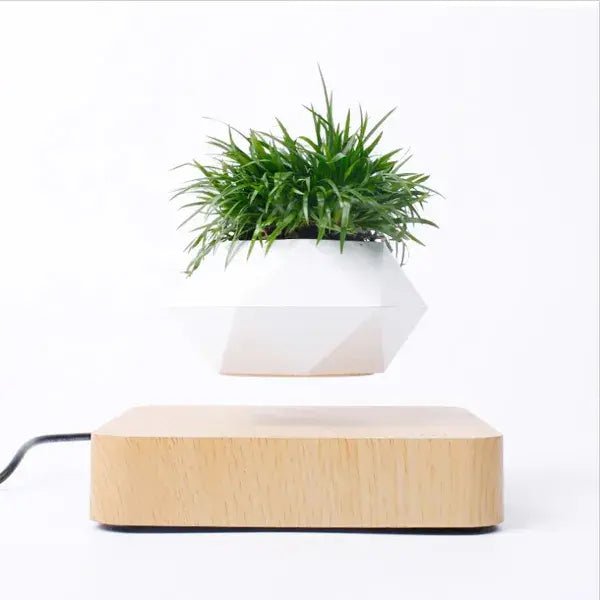 Potted Plant Home Desk Decor - EMBER-HOME